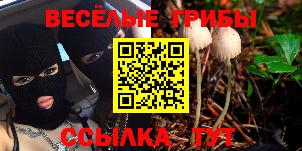 Псилоцибиновые грибы Psilocybe  Вход с VPN  Лысьва 